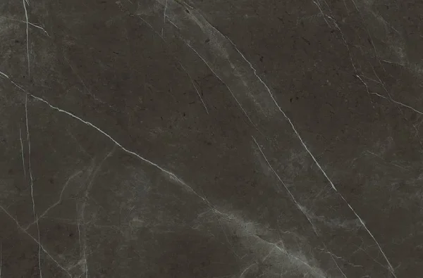 Pietra Grey Marble Texture