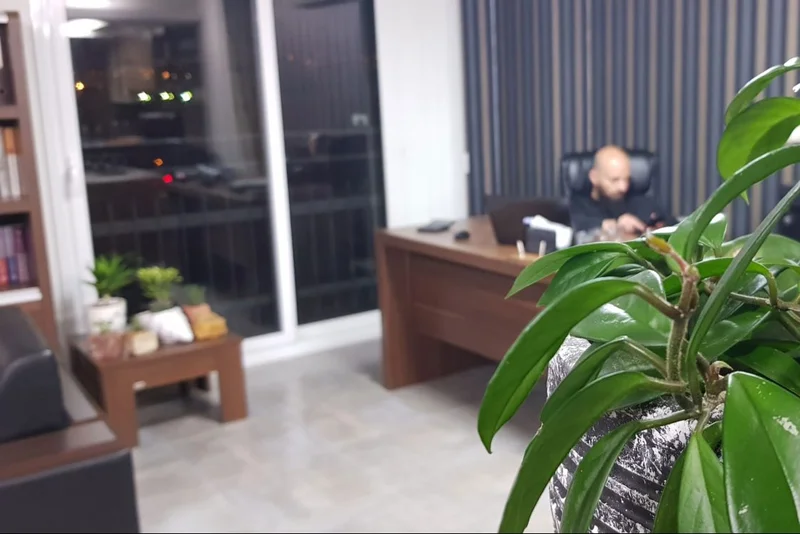 BorjStone Office (2)