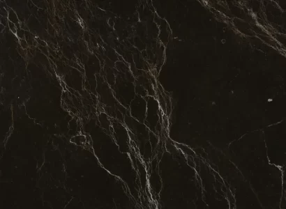 Spider Marble Texture