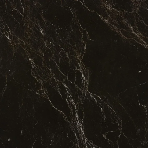 Spider Marble Texture